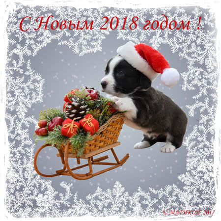 С Новым годом!