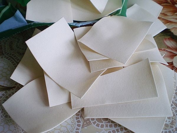 Осуществлены поставка и запуск фасовочного комплекса для фасовки лапши бишбармак