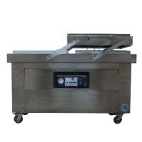 MAGELLANIC-WPC-500-2SB-pic1