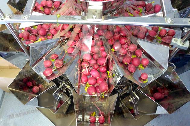 Тестовый запуск оборудования  Тестовый запуск оборудования