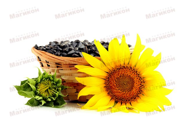 Осень не за горами...