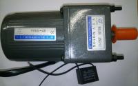 Мотор-редуктор YN90-40/90JB10G12